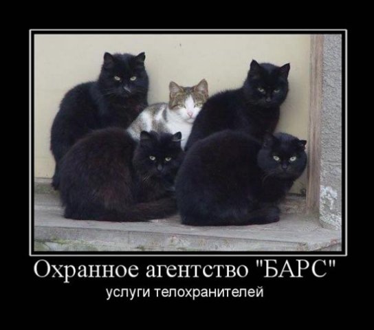 http://cs10471.vkontakte.ru/u6354111/-14/x_ebb8b075.jpg
